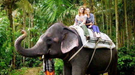 Munnar Jeep Safari