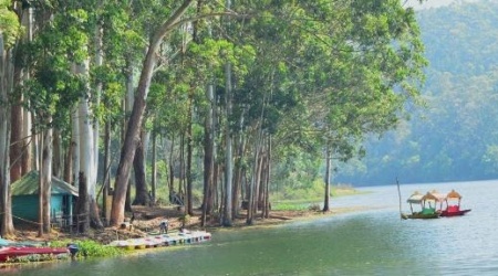 Munnar Jeep Safari